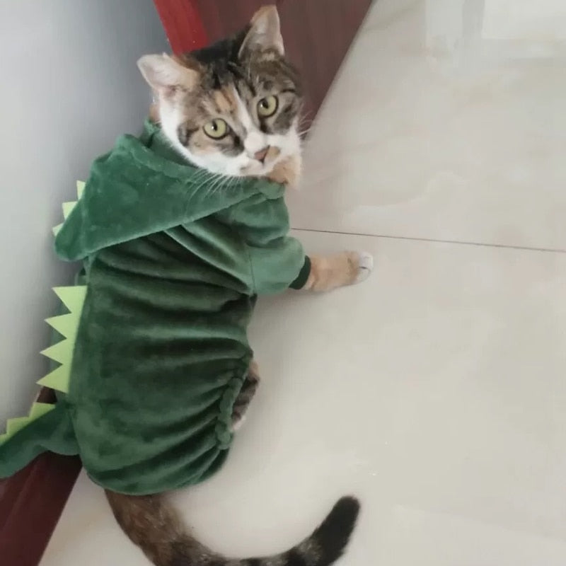 Disfraces De Dinosaurios Divertidos Ropa De Gato Para Mascotas