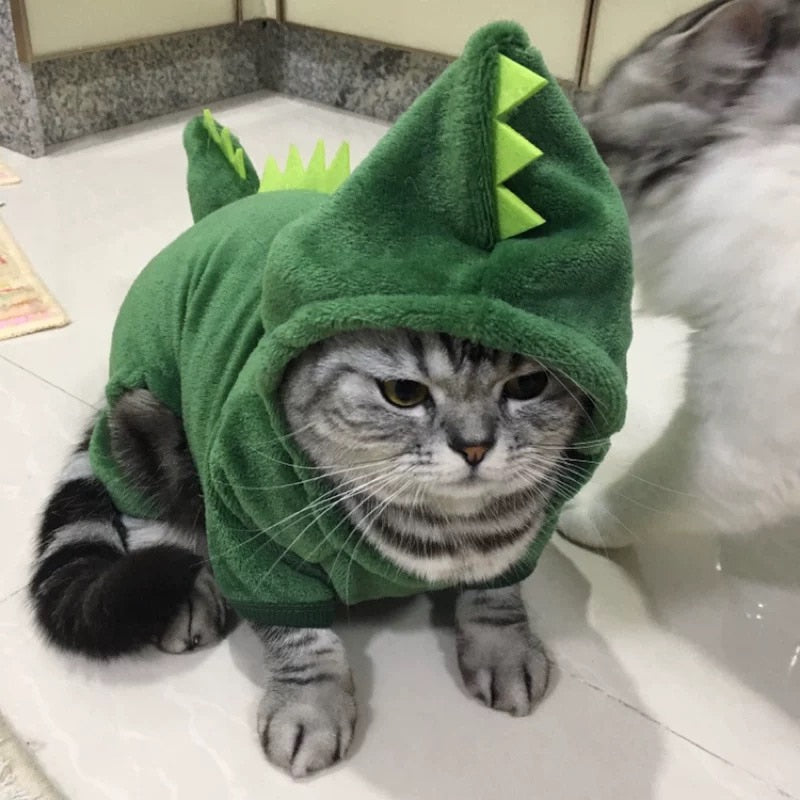 Disfraces De Dinosaurios Divertidos Ropa De Gato Para Mascotas